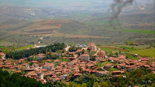 Yapraklı Yapraklı