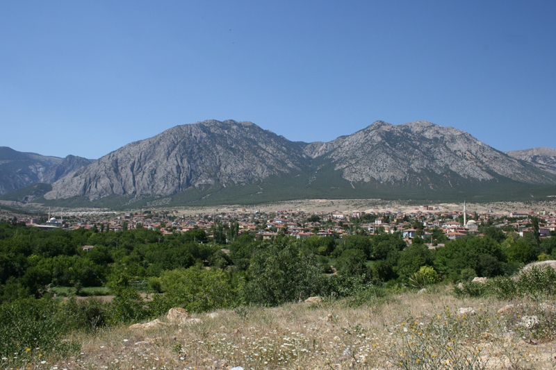 Kargı Kargı