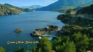 Oğuzlar Oğuzlar