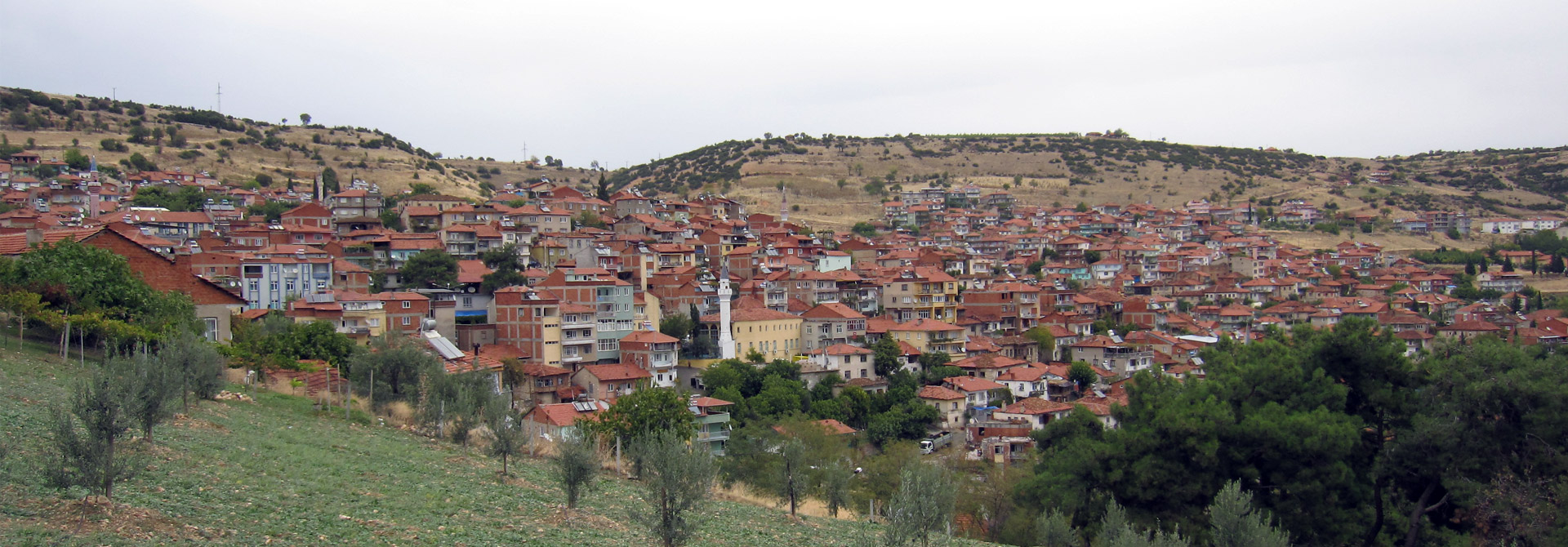 Güney Güney