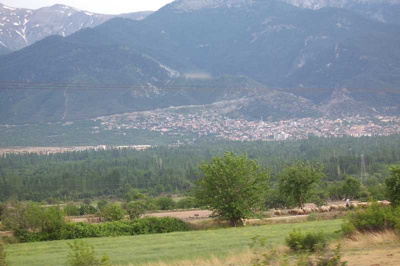 Honaz Honaz