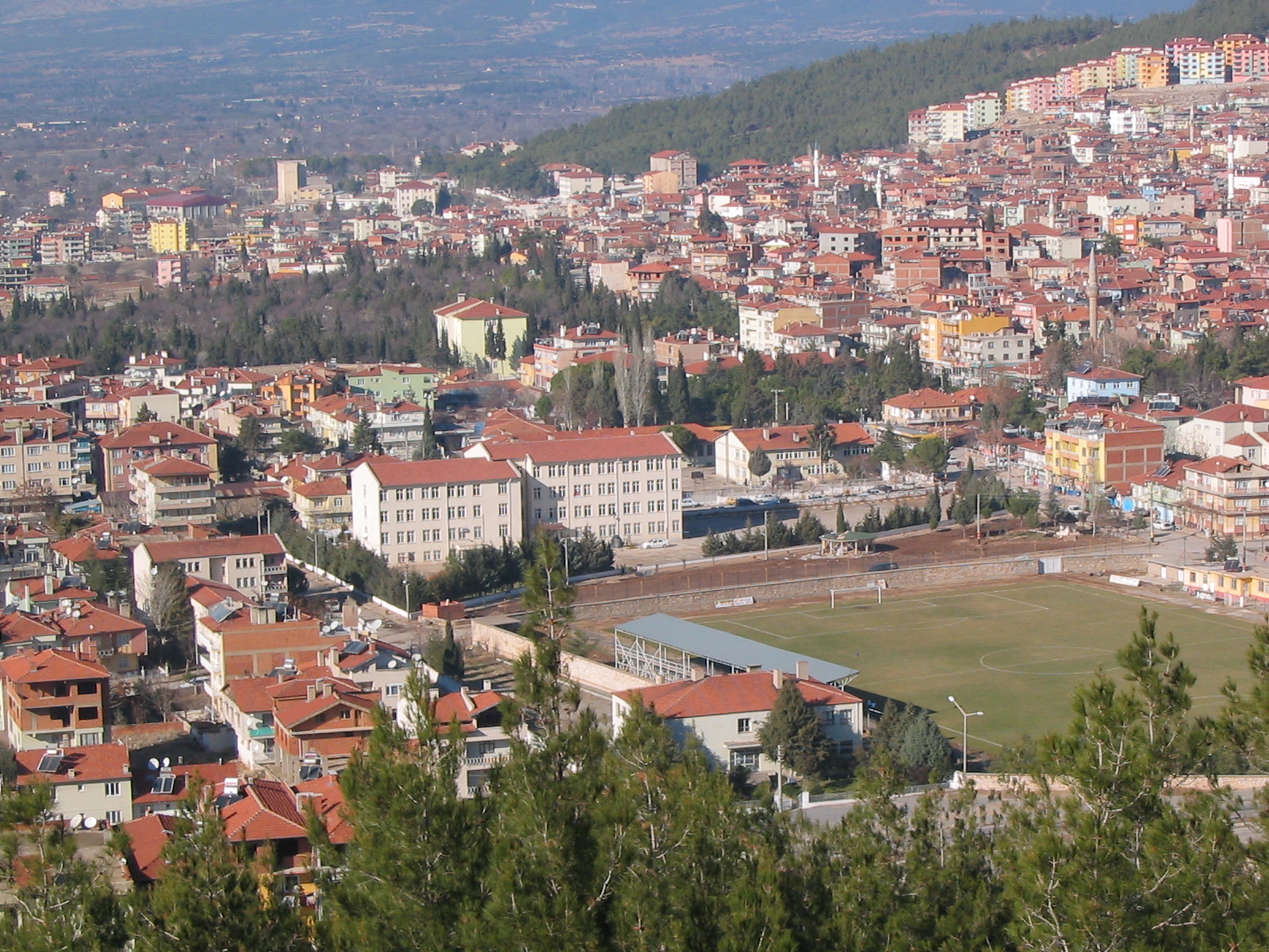 Tavas Tavas
