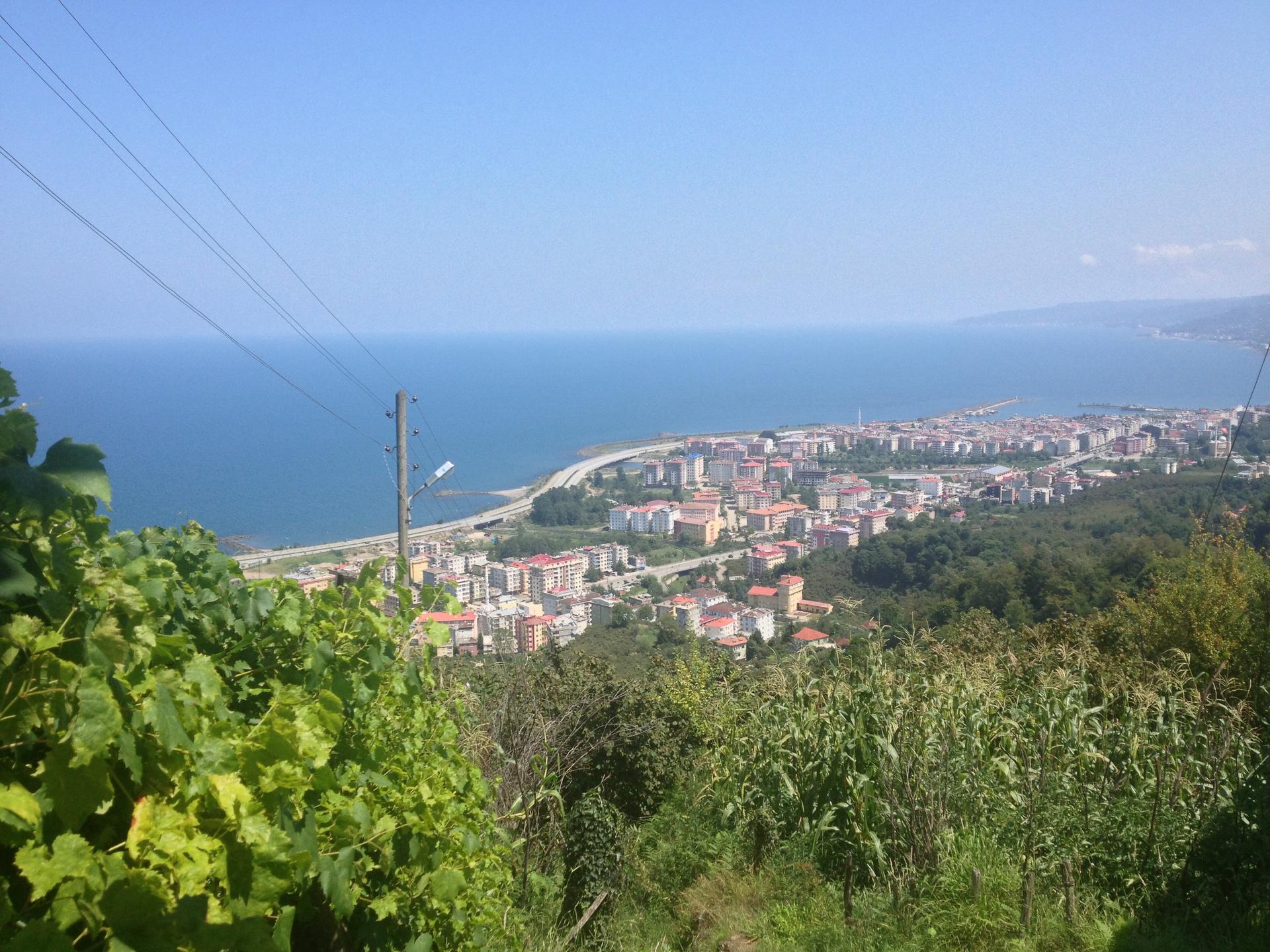 Görele Görele