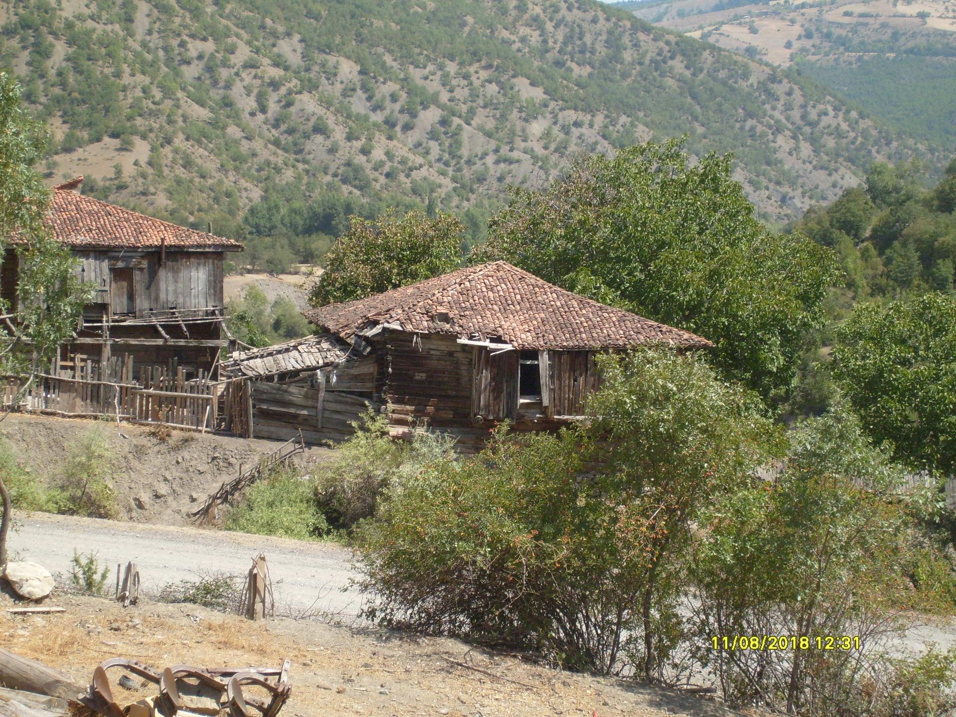 Araç Araç