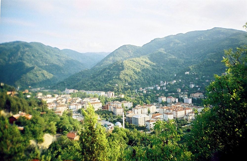 Bozkurt Bozkurt