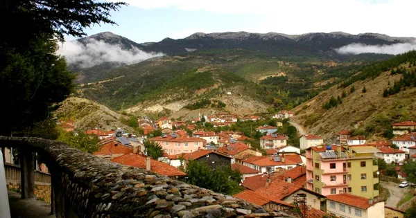 Şaphane Şaphane