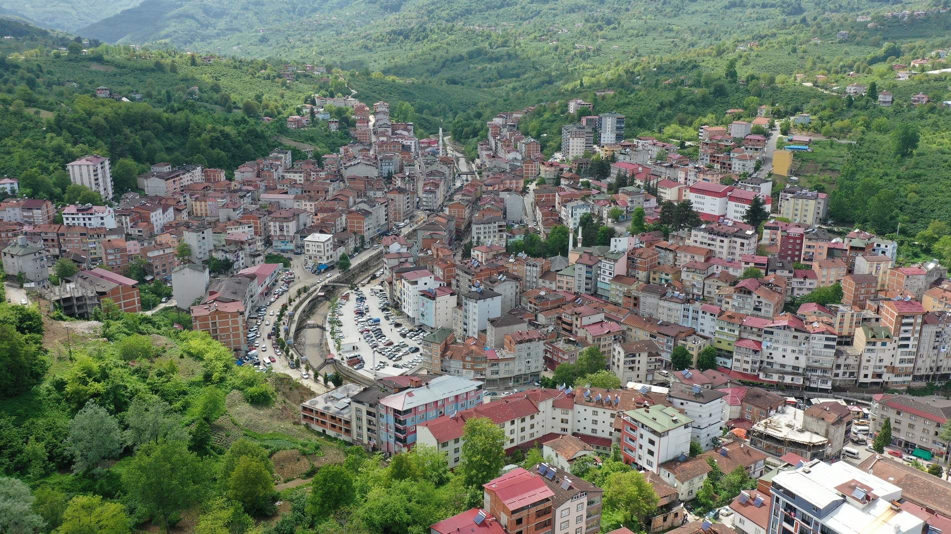 Kumru Kumru
