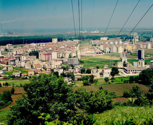 Tekkeköy Tekkeköy